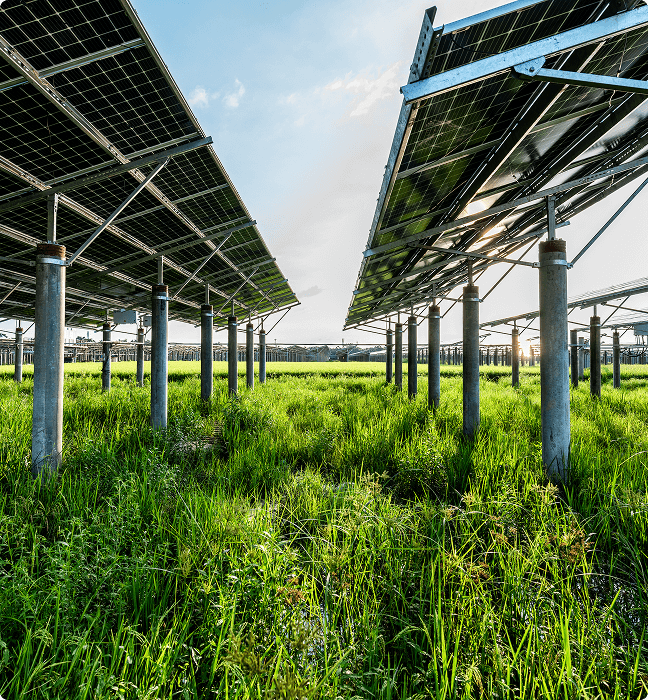 Multi-technology solutions in photovoltaic parks