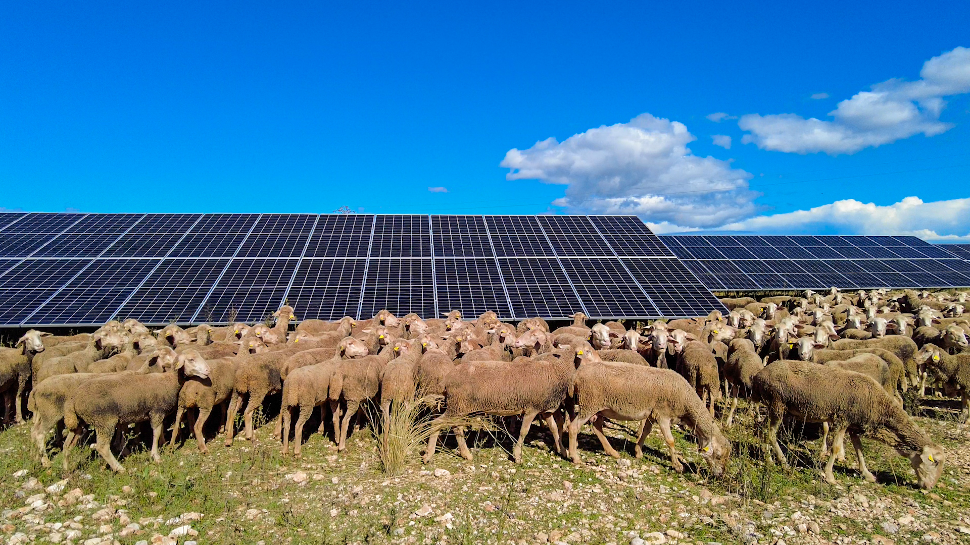 Advantages for your land